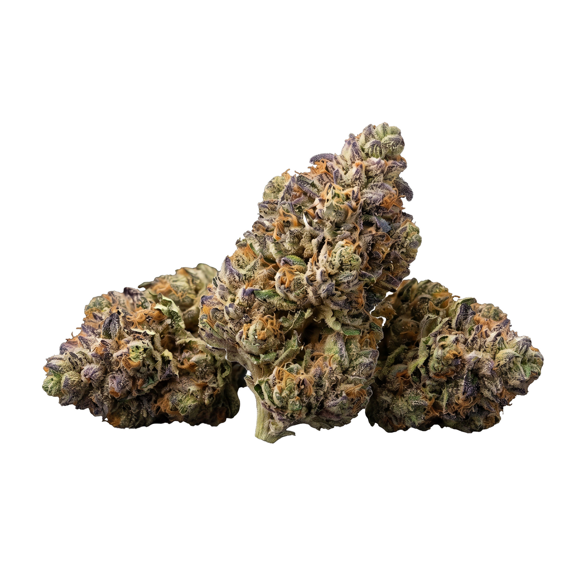 BUDS