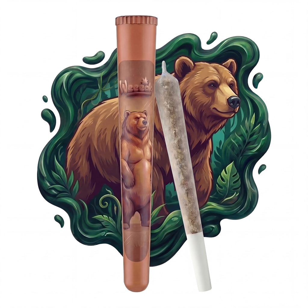 BROWN BEAR - Preroll