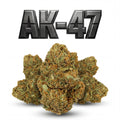 AK-47 60%