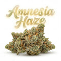 AMNESIA HAZE 60%