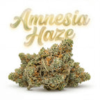 AMNESIA HAZE 60%