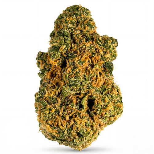 BIG MARTHY 60%