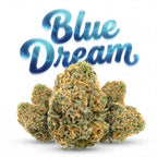 BLUE DREAM 60%