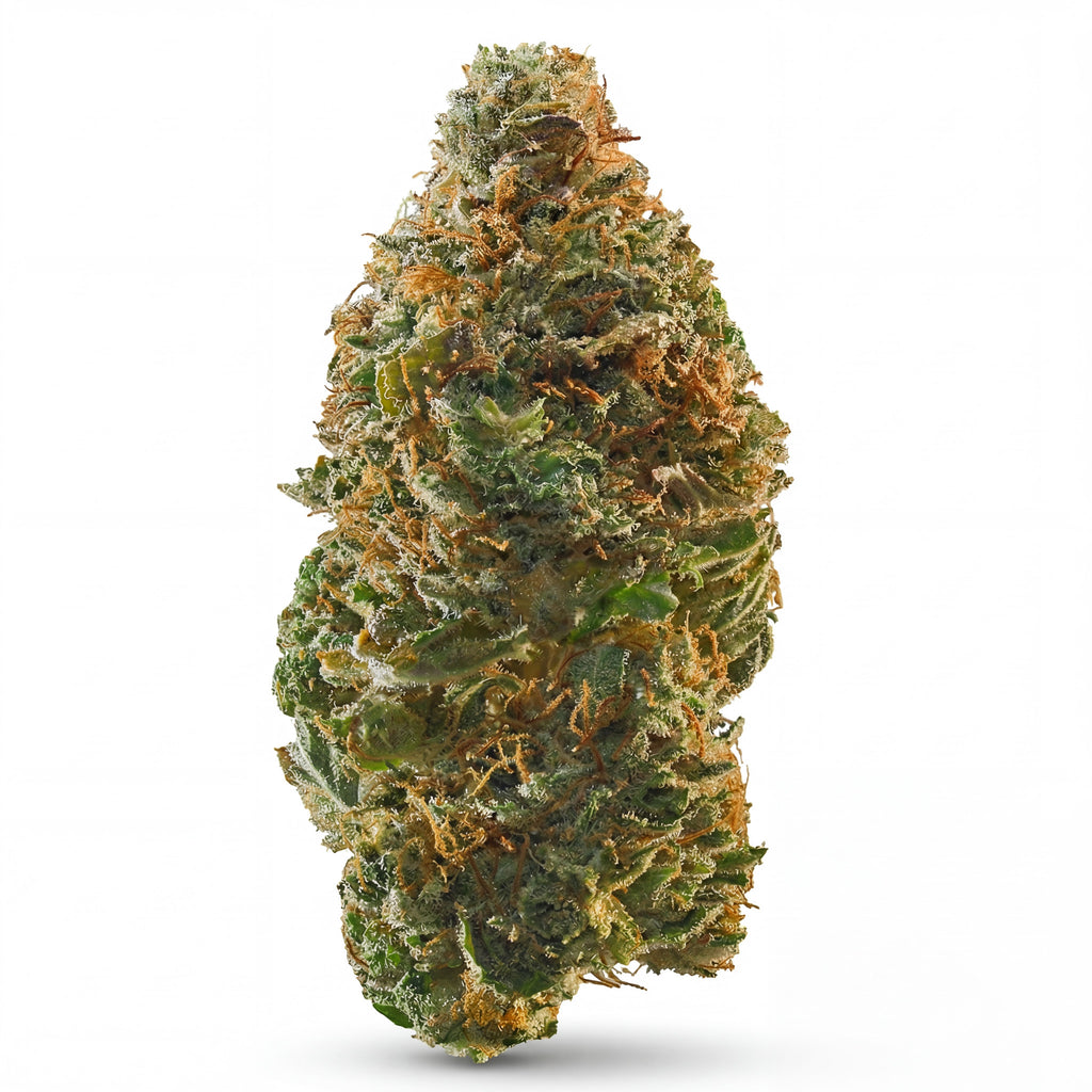 BUBBLEGUM GELATO 60%