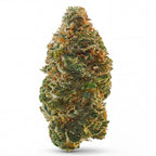 BUBBLEGUM GELATO 60%