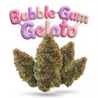 BUBBLEGUM GELATO 60%