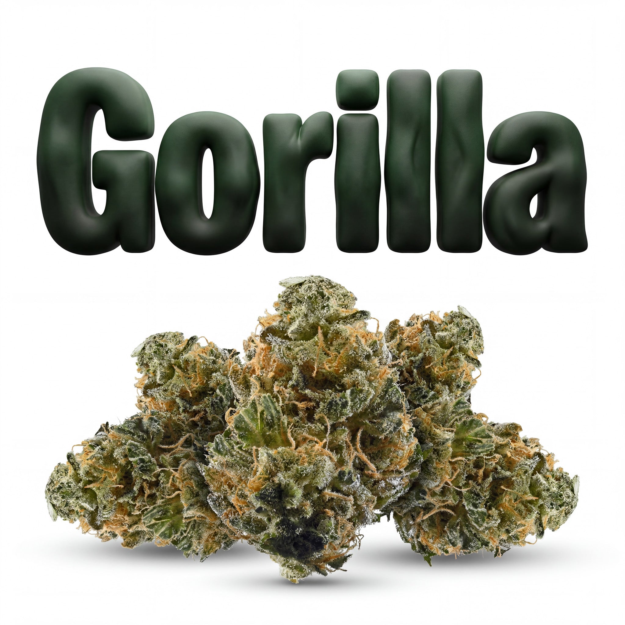 GORILLA 60%