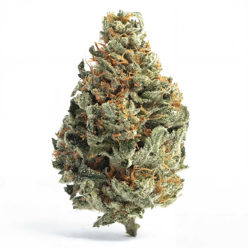 GORILLA GLUE 60%