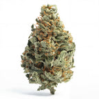 GORILLA GLUE 60%