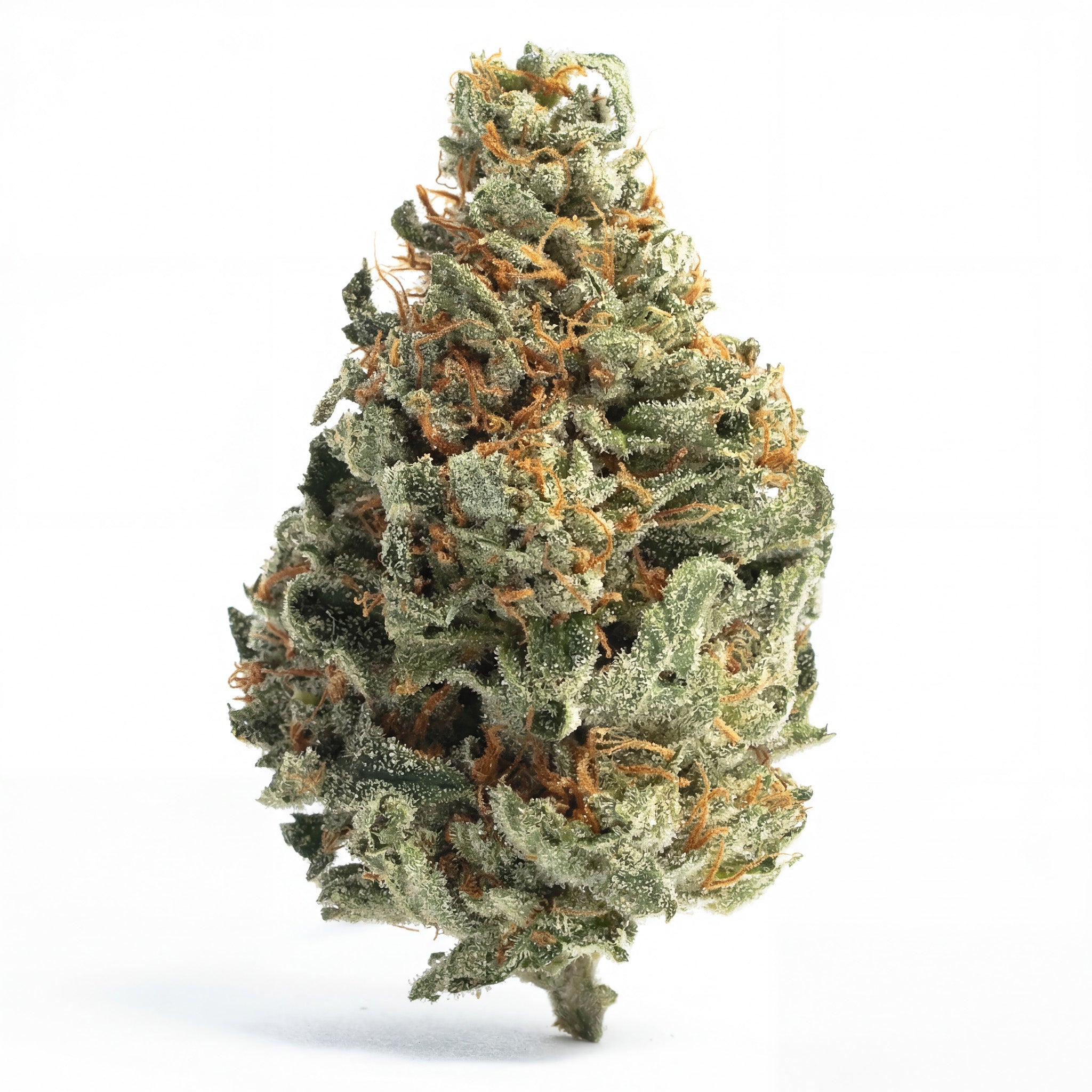GORILLA GLUE 60%
