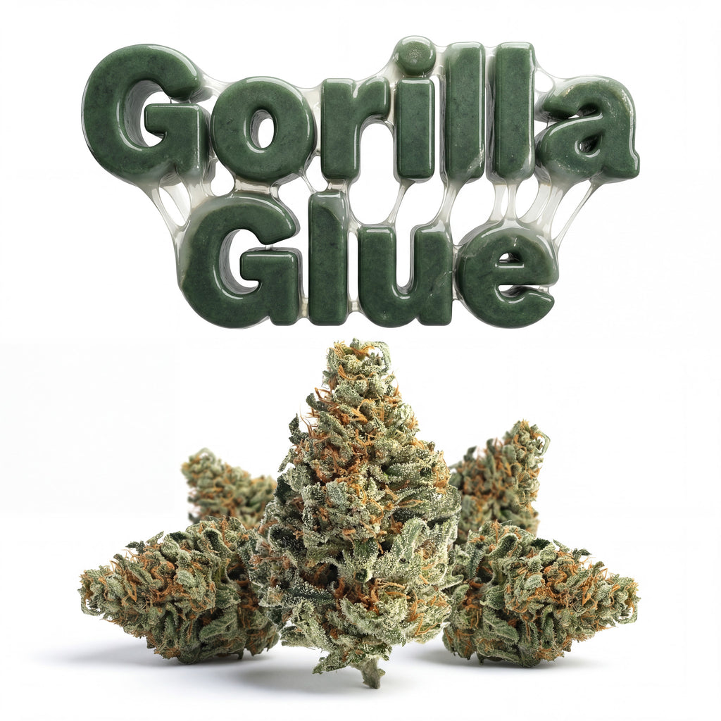 GORILLA GLUE 60%