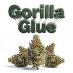 GORILLA GLUE 60%