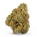 JACK HERER 60%