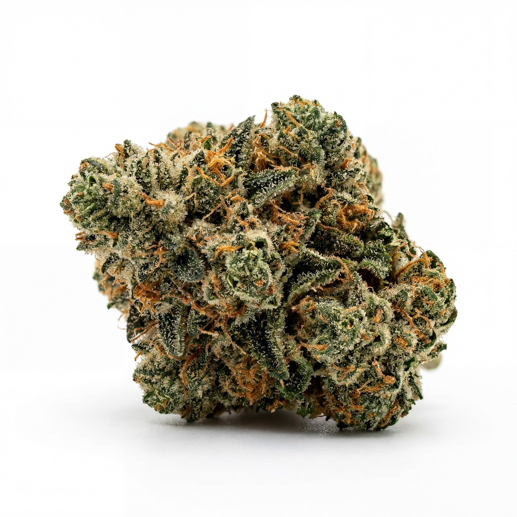 MIMOSA 60%