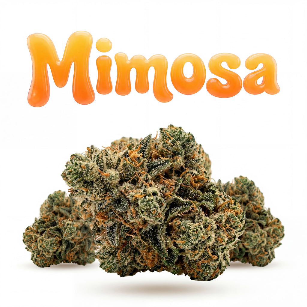 MIMOSA 60%