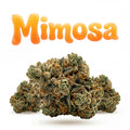 MIMOSA 60%