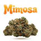 MIMOSA 60%