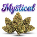 MYSTICAL 60%