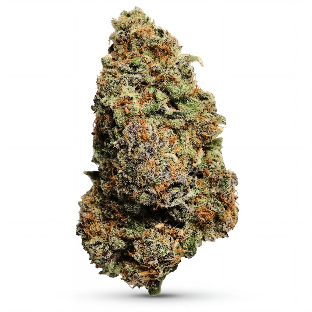 SMALL MARTHY 60%