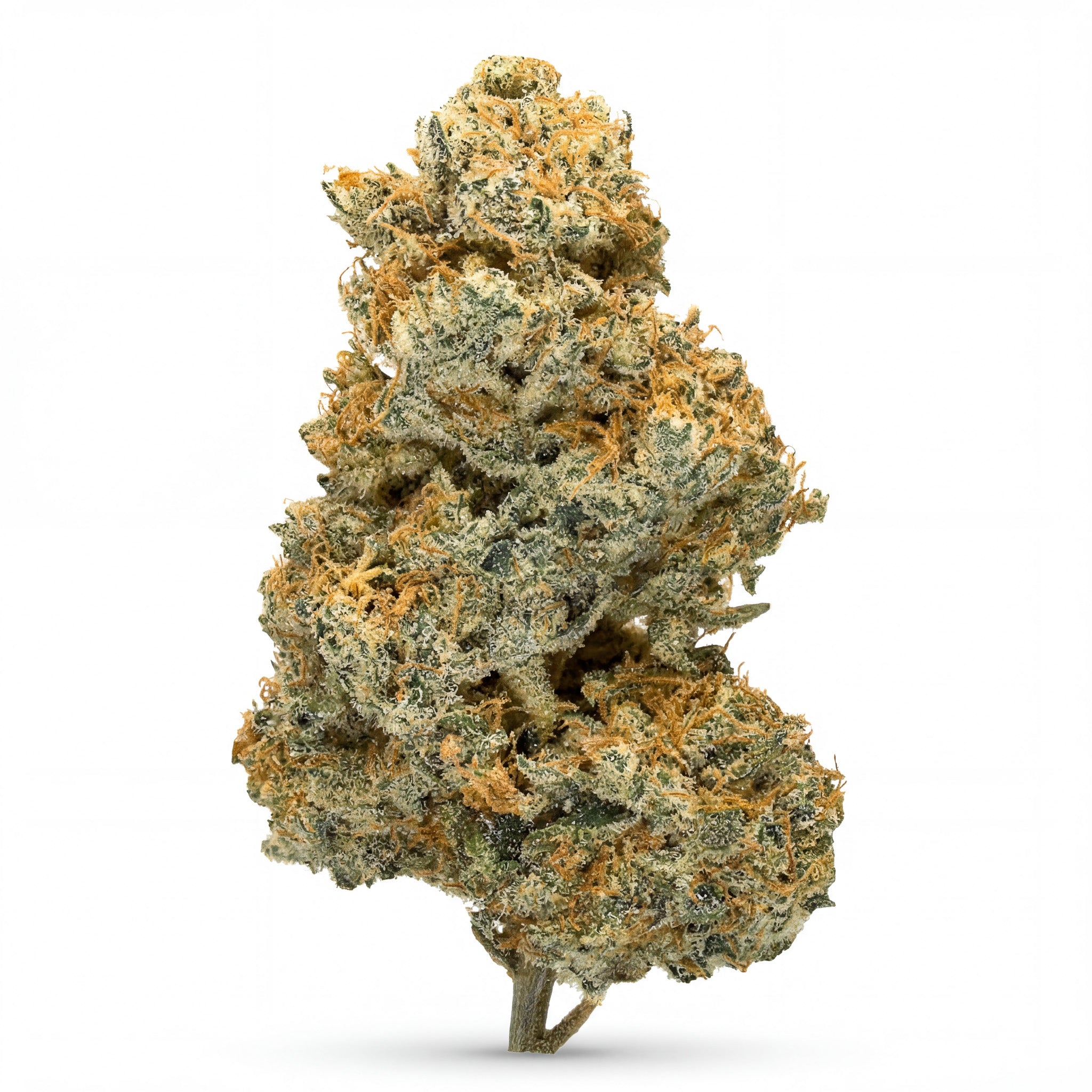 SPACE COOKIES 60%