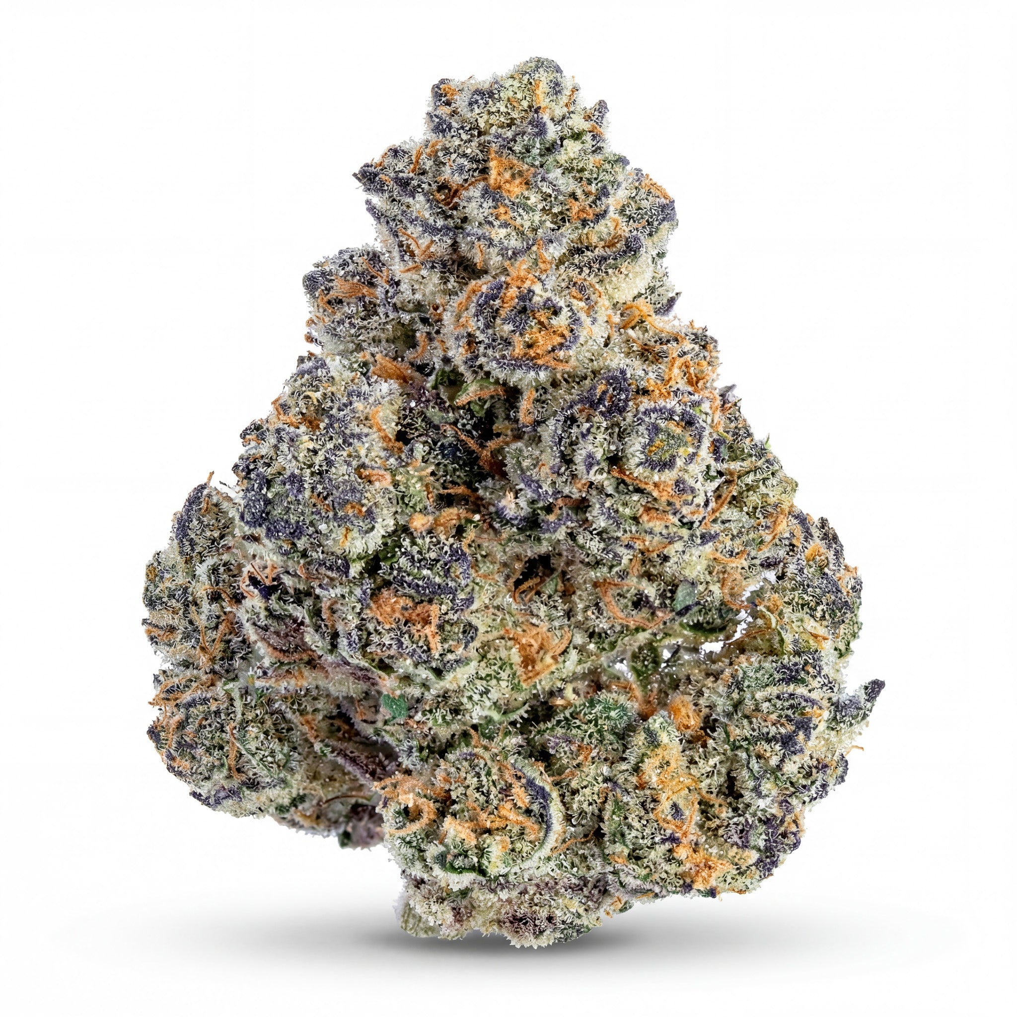 SUNSET SHERBET 60%