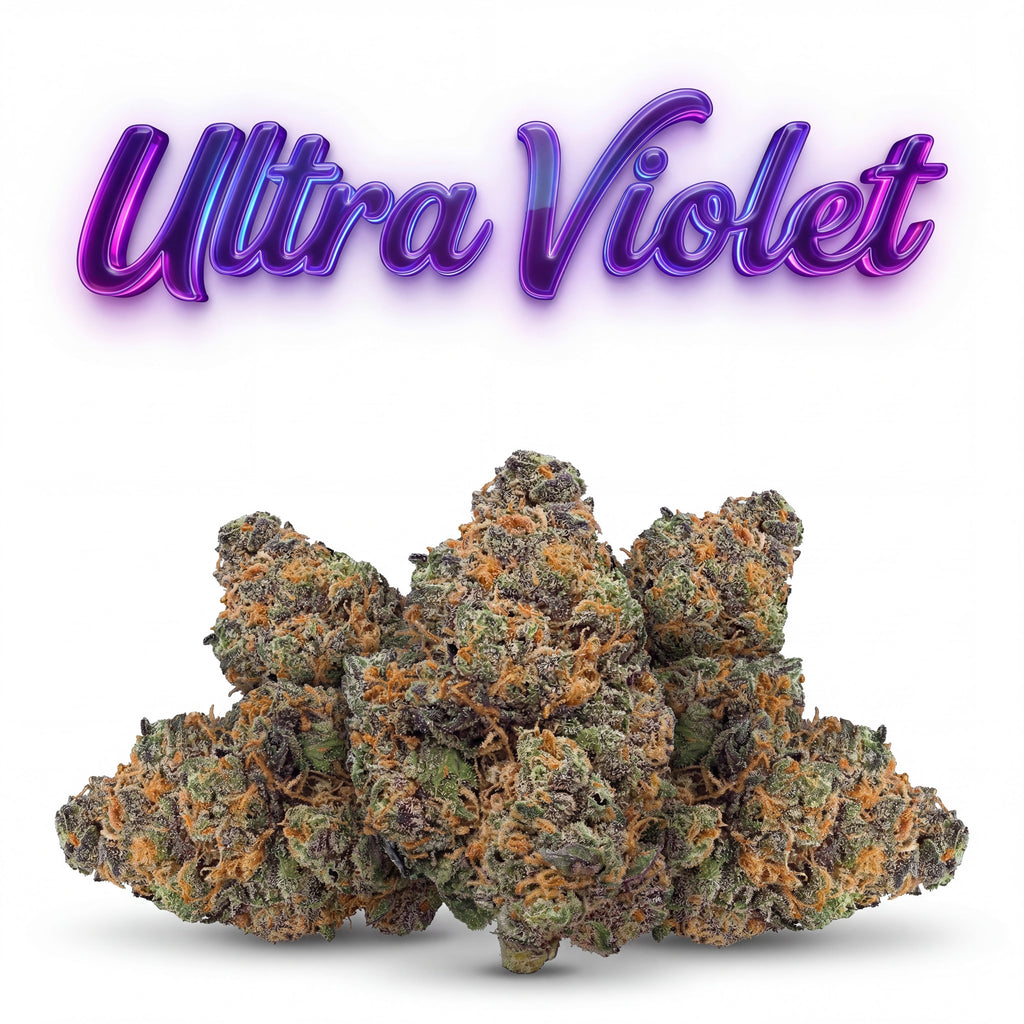 ULTRA VIOLET 60%