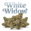 WHITE WIDOW CBG 60%
