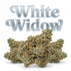 WHITE WIDOW CBG 60%